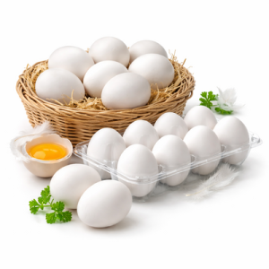 Regular White Eggs